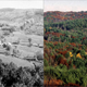 Illustration for article titled Damaged ecosystems can repair themselves faster than we thought